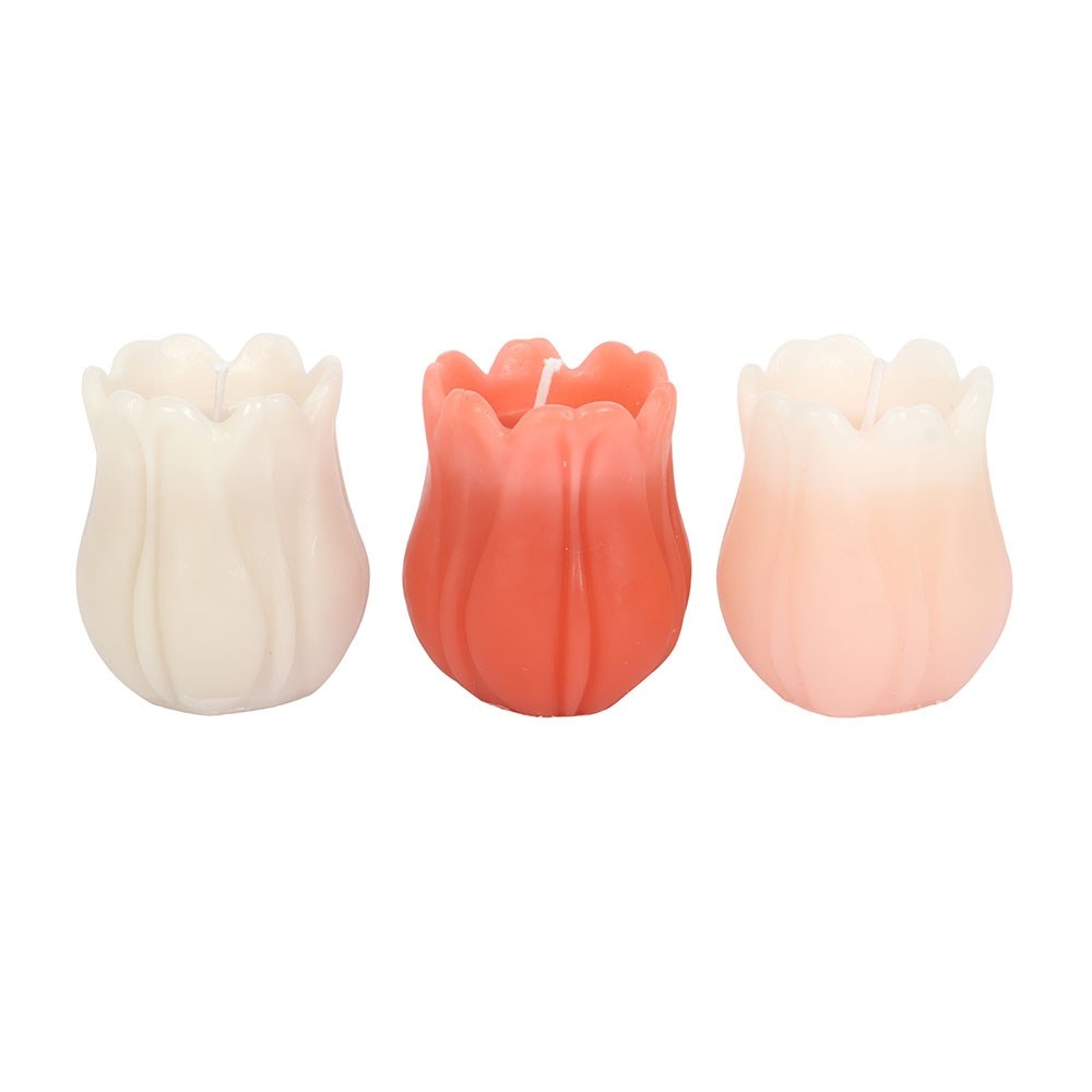 Something Different - Set of 3 Tulip Shaped Figuurkaars - Multicolours